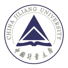 中国计量大学2021年汉语基础(354)考研真题