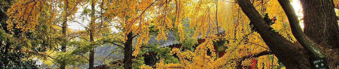 南京师范大学研究生院